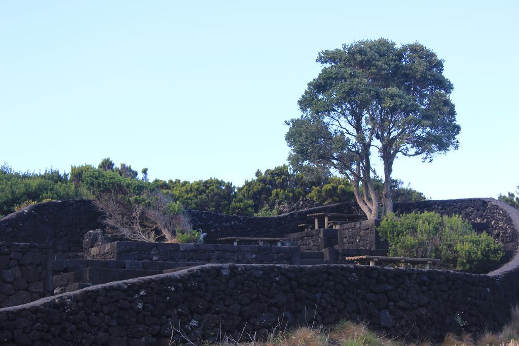 Adega Do Mirante Villa São Roque do Pico Cameră foto