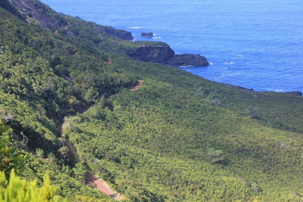 Adega Do Mirante Villa São Roque do Pico Cameră foto